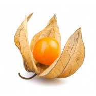 Bio-Physalis "Gold der Anden" - 100g - DE-ÖKO-006