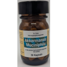 Akkermansia muciniphila